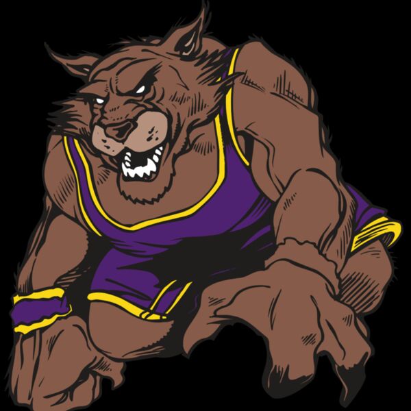 AR WILDCAT 23 RC Thumbnail