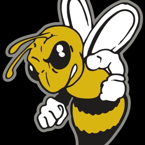 AR BEE 60 RC Thumbnail