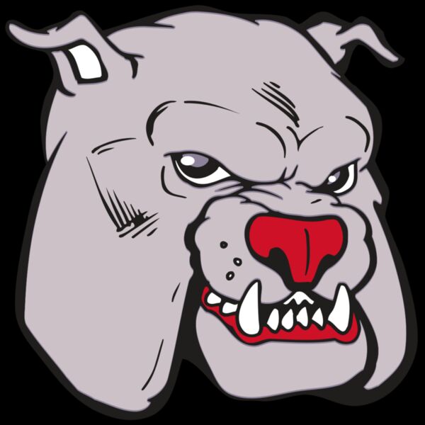 AR BDOG 11 RC Thumbnail