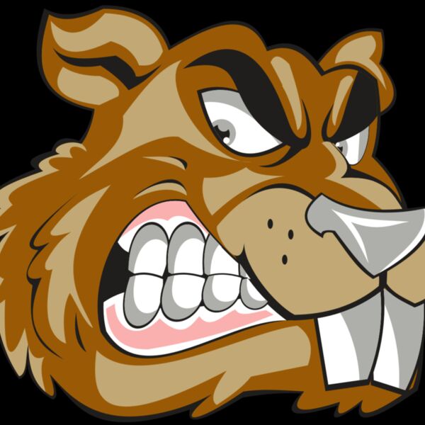 BEAVER HD0503 RQC Thumbnail