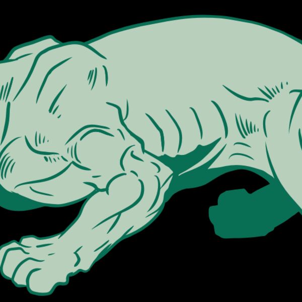 AR10 PANTHER 05 RQC Thumbnail