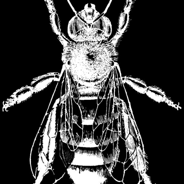 Vintage Bee 180mm high white Thumbnail