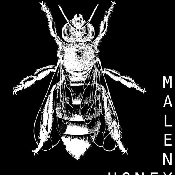 Vintage Bee 180mm high white Maleny Honey Thumbnail